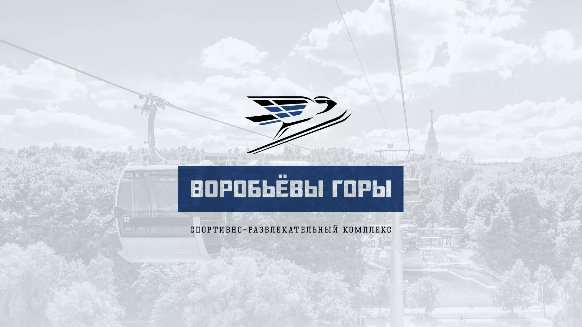 Разработка сайта в Сальске для спортивно-развлекательного комплекса «Воробьёвы горы»